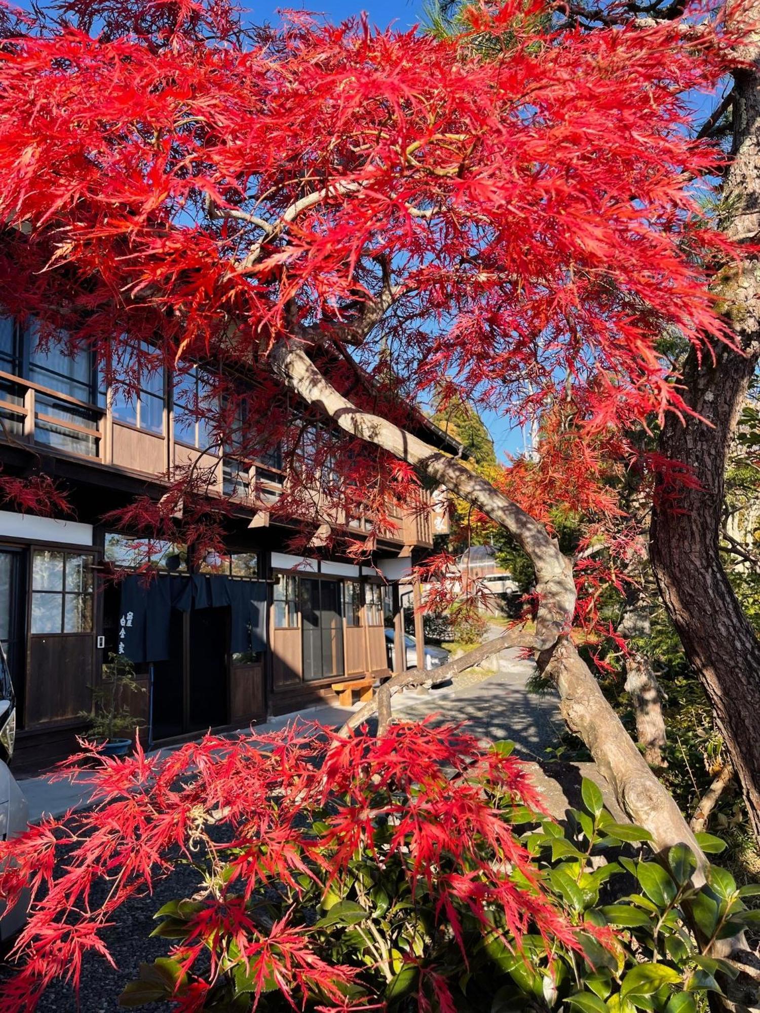 宿屋白金家 Yadoya-Shiroganeya 1日1組限定2名から8名様まで 全館貸切り 伝統的建造物の旅籠宿 Traditional Culture Experience Ναγκάνο Εξωτερικό φωτογραφία